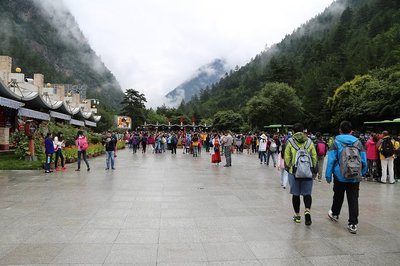 規范有序，視聽盛宴 從觀光車導覽看九寨溝精細化景區管理
